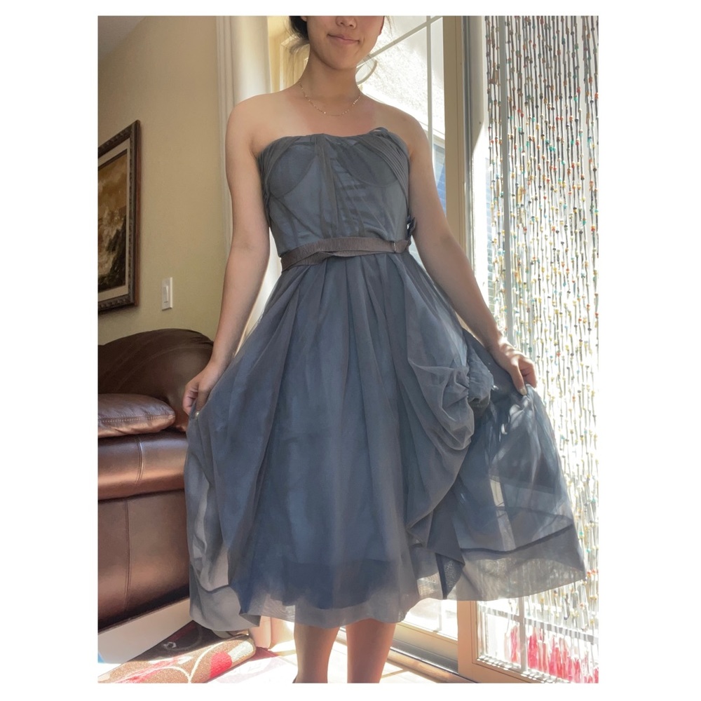 RARE BCBGMacAzria Runway Ruffle Tule Dress Size 10